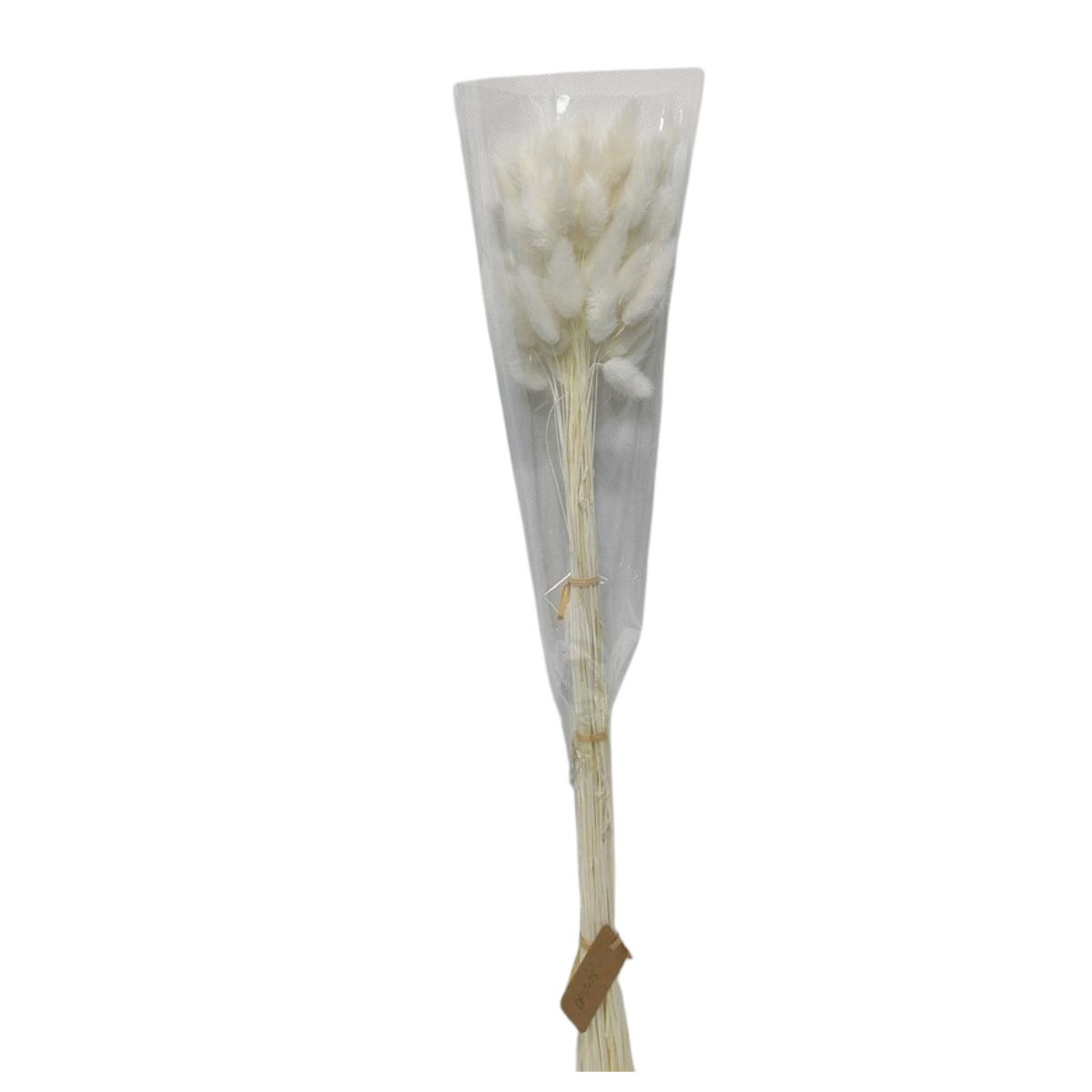 White Bunny Tails