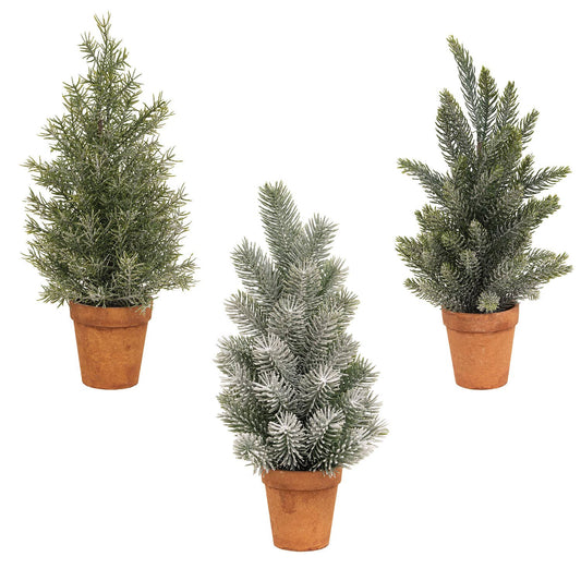 14" Pine Trees in Terra Cotta Pots