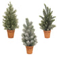 14" Pine Trees in Terra Cotta Pots