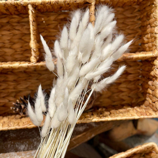 White Bunny Tails